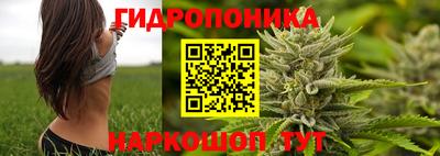 бошки Лесосибирск