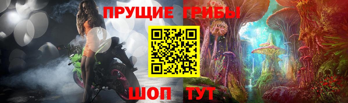 где купить наркоту  Вход с VPN  Дивногорск  Галлюциногенные грибы Magic Shrooms 