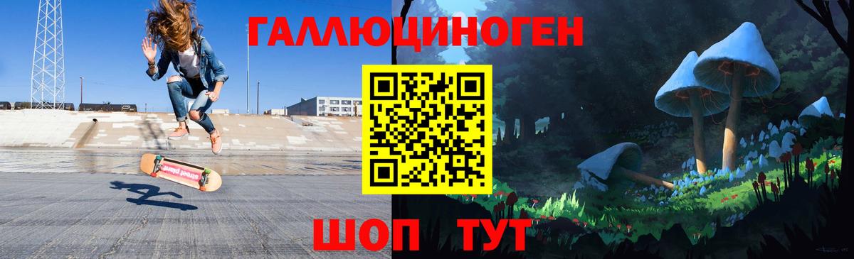 Псилоцибиновые грибы Psilocybe Дивногорск